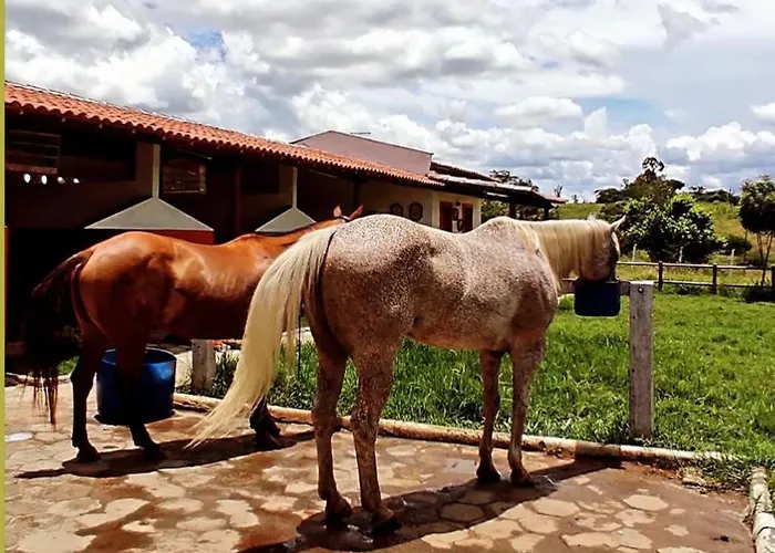 Haras Ncx
